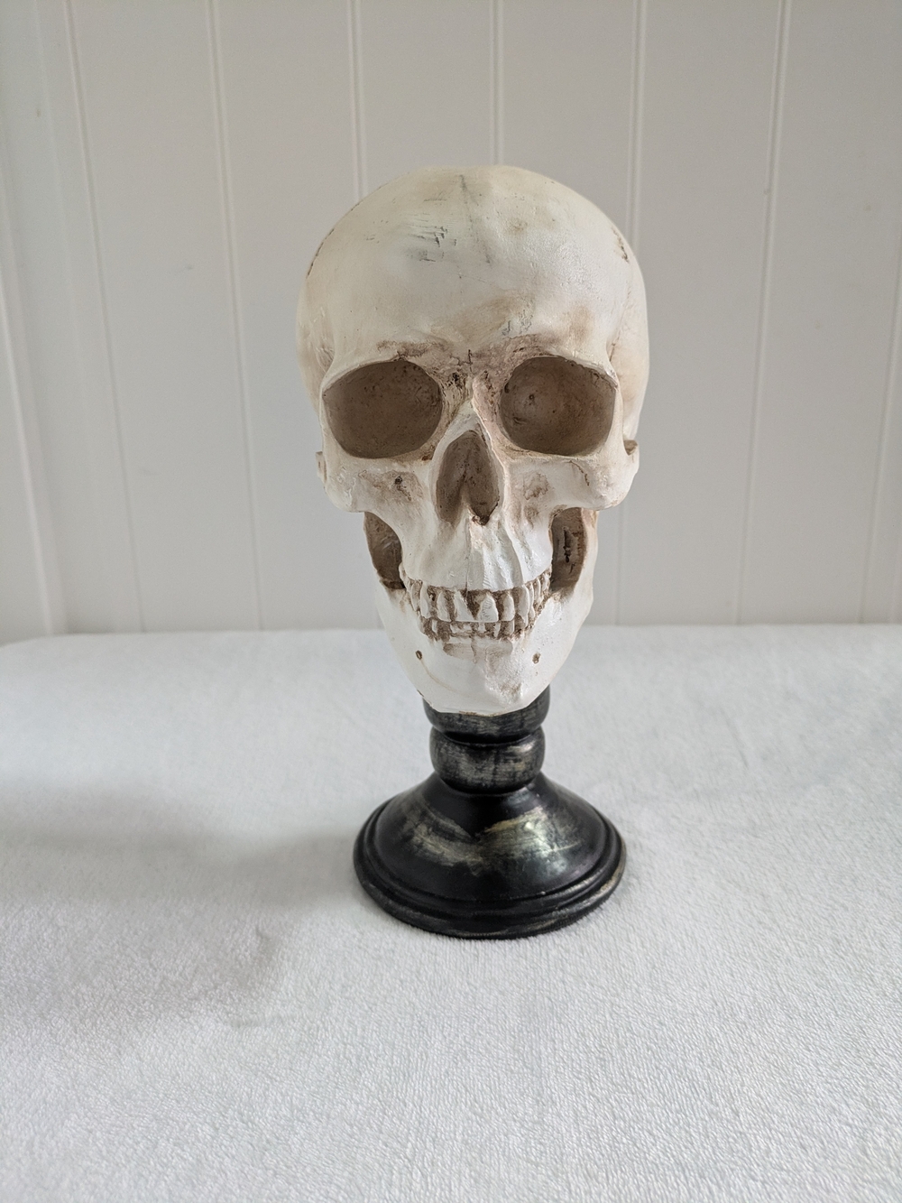 Decorative White Skull Bust on Black Pedestal - Home Accent